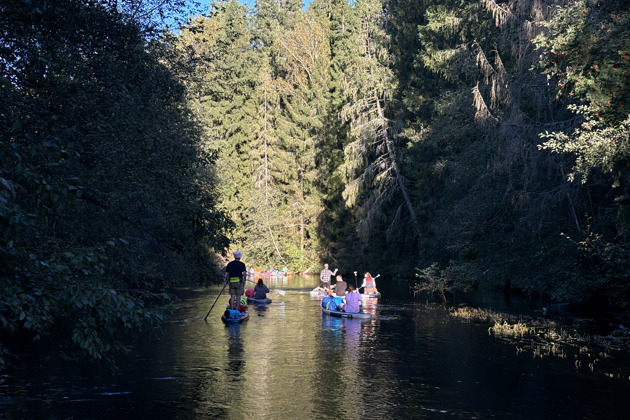 Фото - экскурсия: Сплав на сап-бордах по Оредежу на два дня