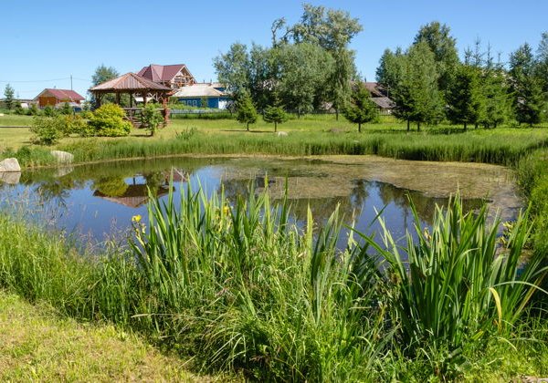 Путешествие на родину М. В. Ломоносова — остров Куростров - фото 3
