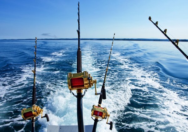 Рыбалка и морская прогулка в Красном море