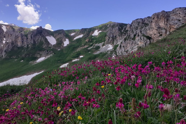 По альпийским лугам к вершине горы Оштен