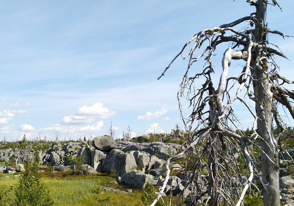 Релаксация в Карелии — Шуйские скалы и каньон Рускеала - фото 2
