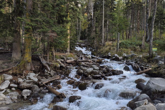 Фото экскурсии - Невероятная поездка в Домбай из Кисловодска - 5