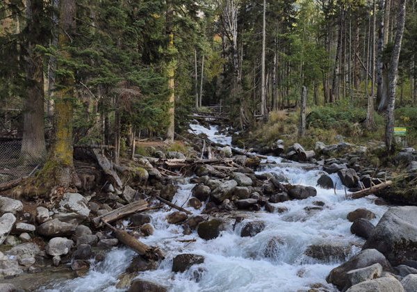 Великолепный Домбай из Кисловодска  - фото 4