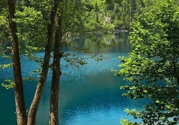 Озера Большая и Малая Рица, Гегский водопад - фото 2