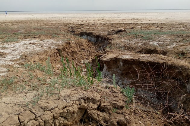 Курумбельская степь-6