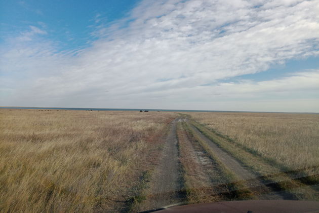 Фото экскурсии - Прогулка по Курумбельской степи - 9