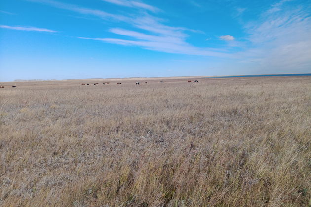 Фото экскурсии - Прогулка по Курумбельской степи - 11