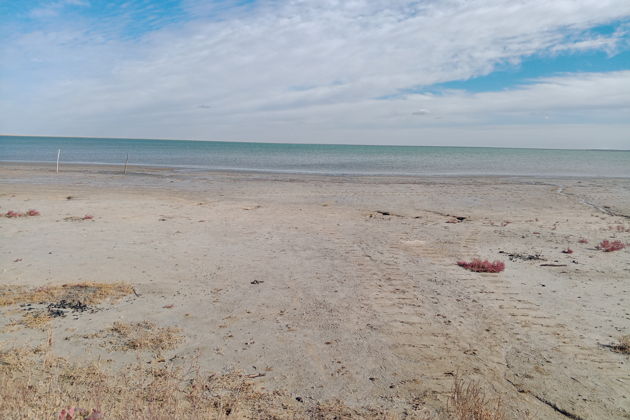 Фото экскурсии - Прогулка по Курумбельской степи - 12