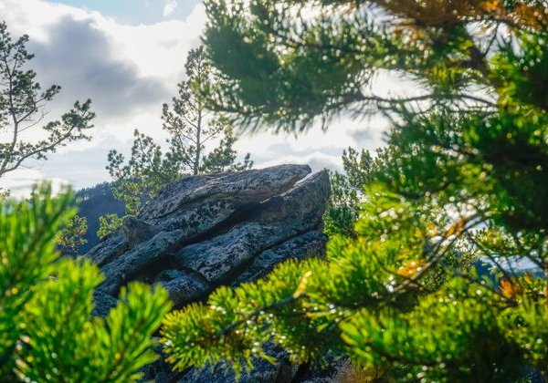 День на Ольхоне — обзорная экскурсия в мини-группе - фото 2