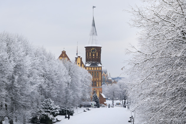 Фото - экскурсия: Сила и грандиозность Кенигсберга из Зеленоградска