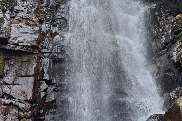 Фото экскурсии - Ленкорань и Лерик: субтропические уголки Азербайджана - 7