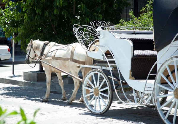 Гюмри: тур по городу, дом-музей Дзитохцянц