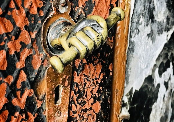 Приватный тур по 3 старинным квартирам Петербурга  - фото 4