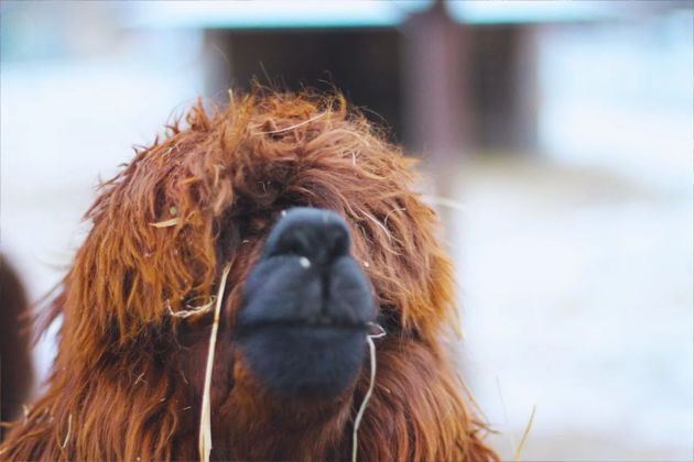 Фото экскурсии - Волшебный мир Рускеалы: открываем красоты Карелии за три дня - 7