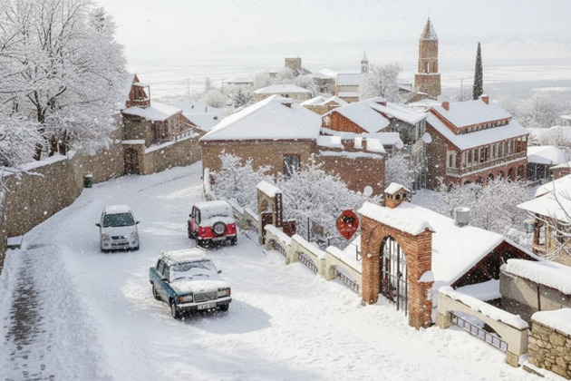 Фото - экскурсия: От лозы до бокала: винное приключение в Кахетии с винодельней «Muzze»