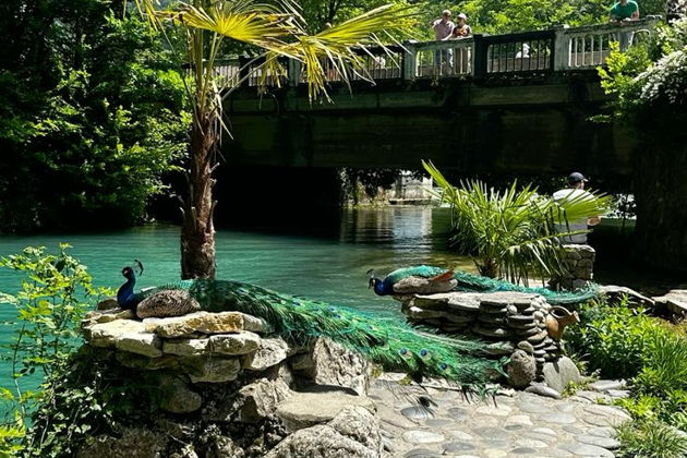 Фото экскурсии - Джип-тур: по Абхазии с ветерком, музыкой и вином - 5