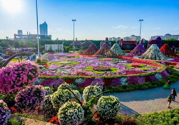 Два парка за день: Сад цветов и Глобал Вилладж - фото 2