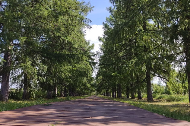 Фото экскурсии - Мистическая экскурсия в усадьбу Молоствовых, Сюкеевский каньон, гора Лобач - 3