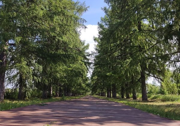 Мистическая экскурсия в усадьбу Молоствовых, Сюкеевский каньон, гора Лобач - фото 3