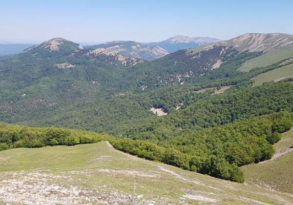 Заповедная природа. Поездка в Национальный парк "Крымский" - фото 1