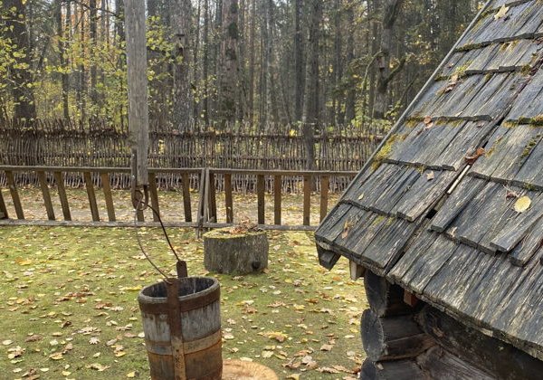 В гости к дубам-великанам: путешествие в Беловежскую пущу  - фото 2