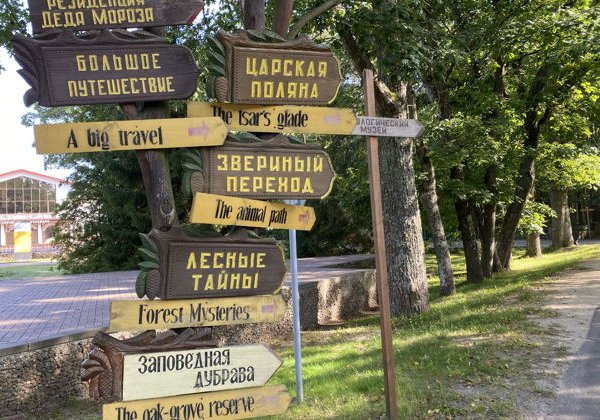 В гости к дубам-великанам: путешествие в Беловежскую пущу  - фото 4