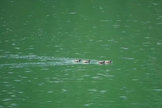 Фото экскурсии - Гянджа - город, застывший в камне и воспетый в поэзии - 8