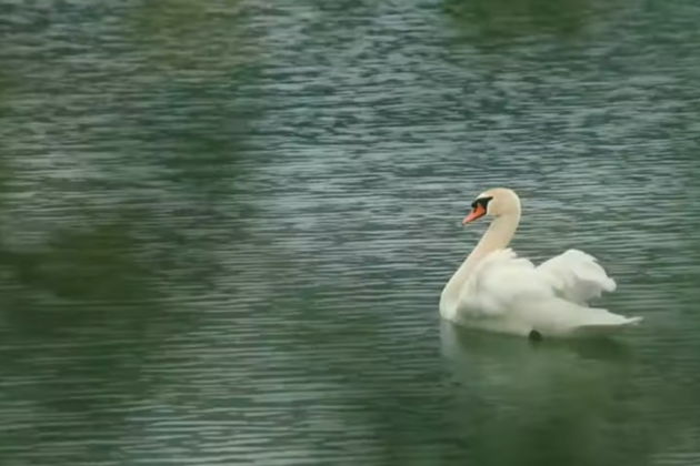 Фото экскурсии - Гянджа - город, застывший в камне и воспетый в поэзии - 9