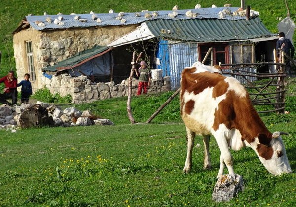 Баку — Гусар — Шахдаг: Кавказ у ваших ног! - фото 1