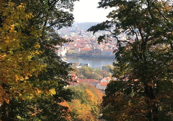 Обзорная экскурсия Градчаны и холм Петршин - фото 1