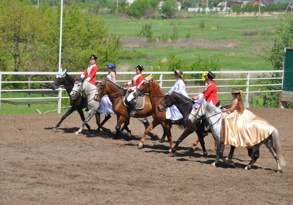 Познайте удивительный мир лошадей в конном клубе «Ангел»
