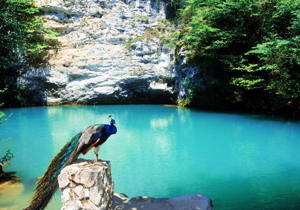 Джиппинг в горную Абхазию — озера, водопады и Шерлок Холмс - фото 2