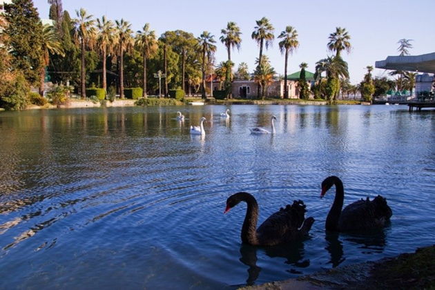 Фото экскурсии - Комфортная поездка в Абхазию на минивэне: Гагра и Новый Афон в группе до 8 человек - 7