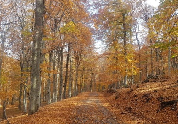 Заповедная природа. Поездка в Национальный парк "Крымский" - фото 2