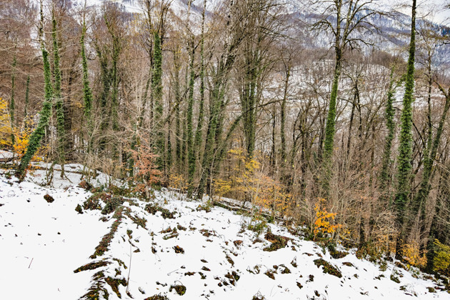 Фото - экскурсия: Пеший туризм в Красной Поляне: великолепие горного курорта в любое время года