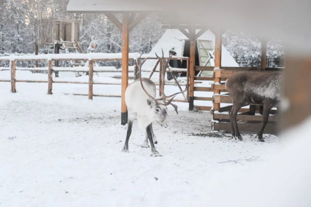 Фото экскурсии - Двухдневное путешествие по Карелии: от Петрозаводска до Сортавалы - 6