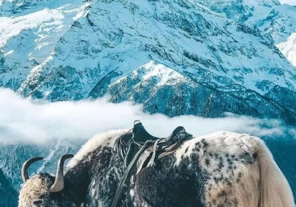 Архыз, Домбай, Эльбрус за 3 дня и 2 ночи из Кисловодска - фото 4