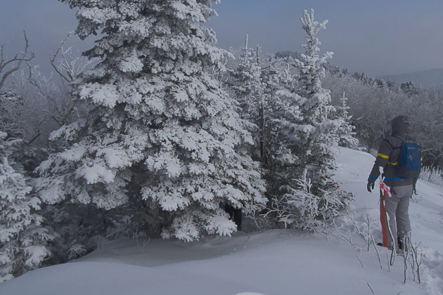 Фото - экскурсия: Погрузись в настоящую тайгу на целый день