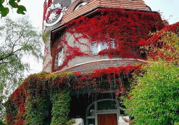 Исследуйте Светлогорск, Янтарный и Балтийск за день (Raushen, Palmniken, Pillau) - фото 3