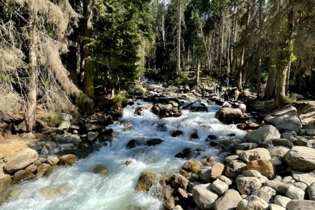 Фото экскурсии - Индивидуальная экскурсия в Домбай с посещением Сырных пещер и Уллу-Муруджу - 4