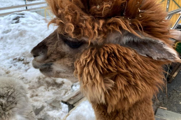 Фото экскурсии - Индивидуальная экскурсия в Долину нарзанов и Хасаут с дегустацией целебных вод - 4