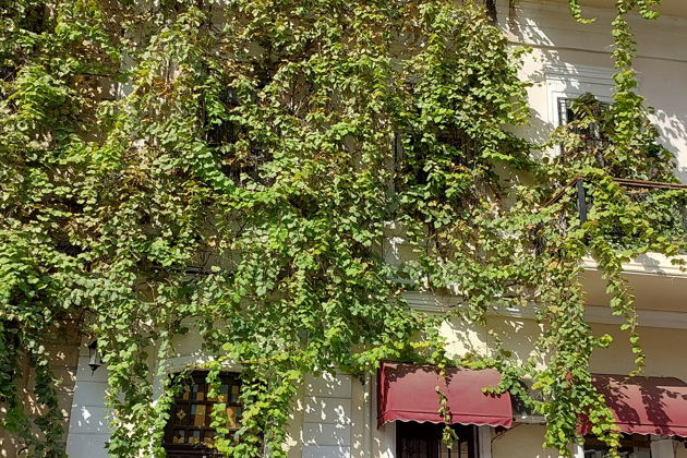 Фото экскурсии - Трансфер с обзорной экскурсией по Баку - 10