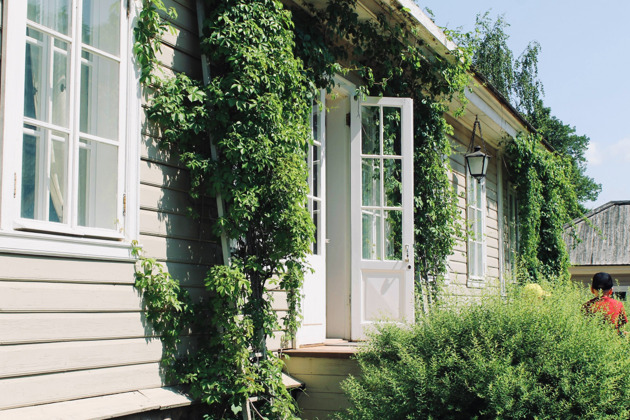 Прогулка по Пушкинским Горам: тропами великого поэта