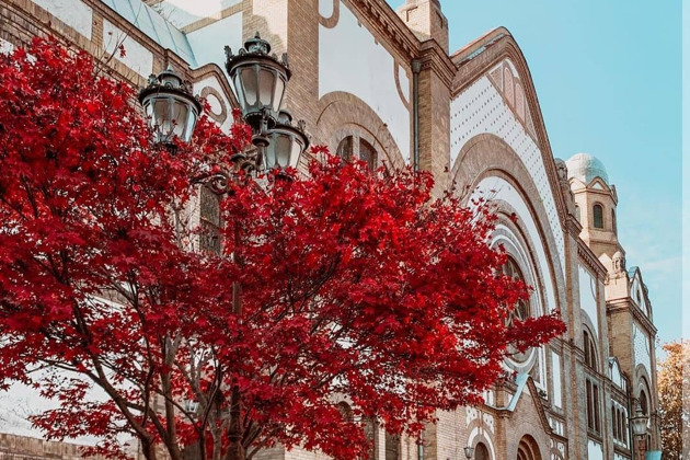 Фото - экскурсия: Экскурсия в Новый Сад и Сремски Карловци