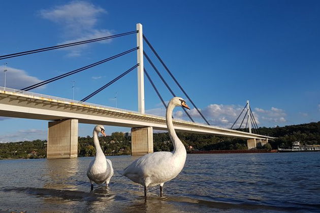 Фото экскурсии - Экскурсия в Новый Сад и Сремски Карловци - 7