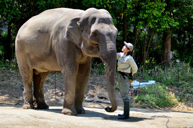 Фото экскурсии - Экскурсия в зоопарк Zoorasia с гидом