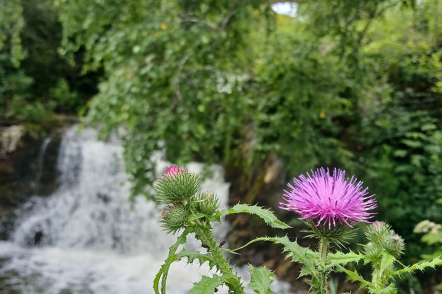Фото экскурсии - Бердские скалы + Водопады - 3