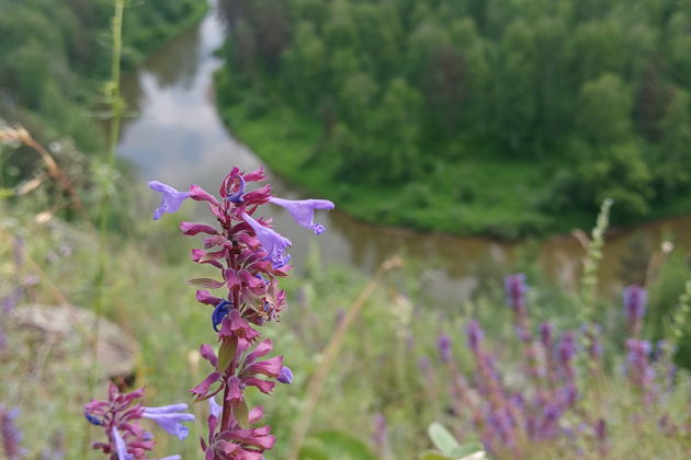 Фото экскурсии - Бердские скалы + Водопады - 6