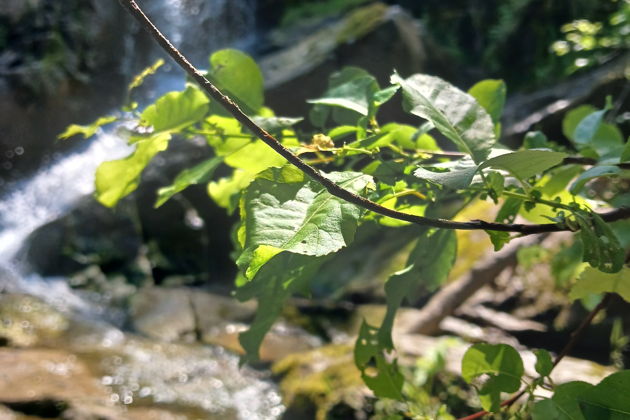 Фото экскурсии - Бердские скалы + Водопады - 7