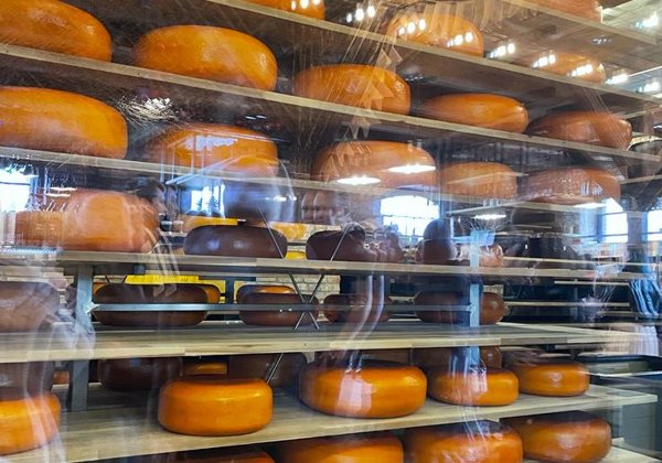 Экскурсия из Зеленоградска «Замок Шаакен и сыроварня Шаакендорф"